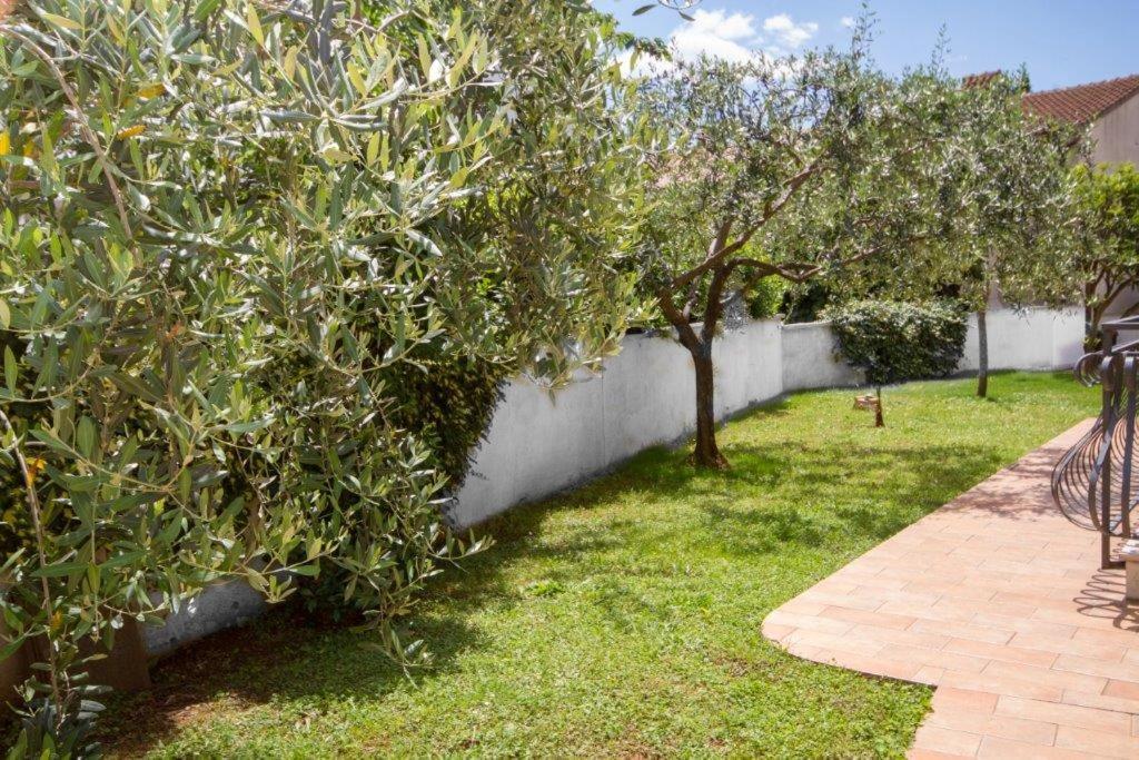 Villa Sveta Eufemija Bed End Breakfast I Rovinj Exteriér fotografie